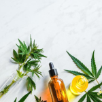 The Benefits of CBD Oil for Pets Canada – What to Look For When Choosing a Brand